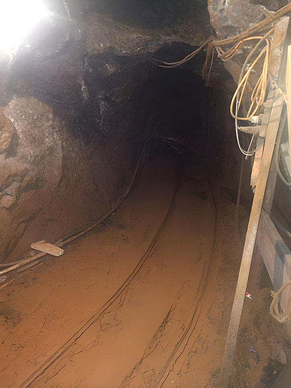 Investment in mining exploration